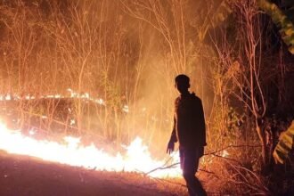 Kebakaran lahan (karhutla) di lingkungan Balaburu Kelurahan Kalase'rena Kecamatan Bontonompo Kabupaten Gowa, Kamis (28/9/2023).