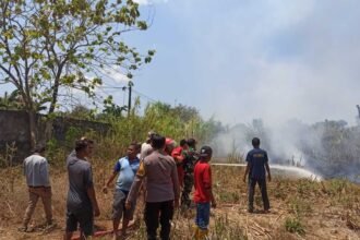 Kebakaran ladang rumput gajah di Dusun Bontosunggu, Desa Pa'rappunganta Kecamatan Polut, Kabupaten Takalar membuat warga sekitar menjadi panik, Jumat (22/09/2023).