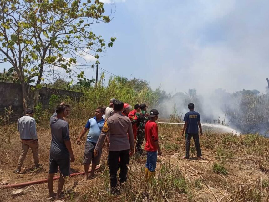 Kebakaran ladang rumput gajah di Dusun Bontosunggu, Desa Pa'rappunganta Kecamatan Polut, Kabupaten Takalar membuat warga sekitar menjadi panik, Jumat (22/09/2023).