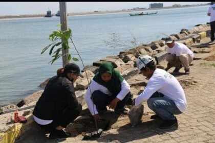 Pelindo Regional 4 melalui Tanggung Jawab Sosial dan Lingkungan (TJSL) menggelar “Program Pelindo Menanam Pohon” dengan melakukan penanaman sebanyak 2.500 bibit pohon di sekitar area pelabuhan, Sabtu  lalu (16/09/2023).