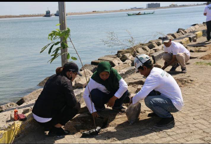 Pelindo Regional 4 melalui Tanggung Jawab Sosial dan Lingkungan (TJSL) menggelar “Program Pelindo Menanam Pohon” dengan melakukan penanaman sebanyak 2.500 bibit pohon di sekitar area pelabuhan, Sabtu  lalu (16/09/2023).