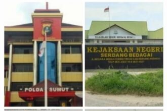 Kolase laporan dugaan korupsi di Dinkes Serdang Bedagai, Puskesmas Pantai Cermin tentang dana intensif Covid-19, BOK (Bantuan operasional Kegiatan), JKN (Jaminan Kesehatan Nasional), HIV (yang di Danai Global Fund) telah dilaporkan Riris Natalia Siregar. Am. AK., ke Polda Sumatera Utara tahun 2020 hingga sekarang tidak ada tanggapan proses hukum, Jum'at.(27/10/2023).