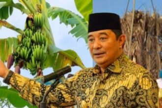 Pj Gubernur Sulsel Bahtiar Baharuddin (Program Ketahanan Pangan). (dok. mediapesan.com)
