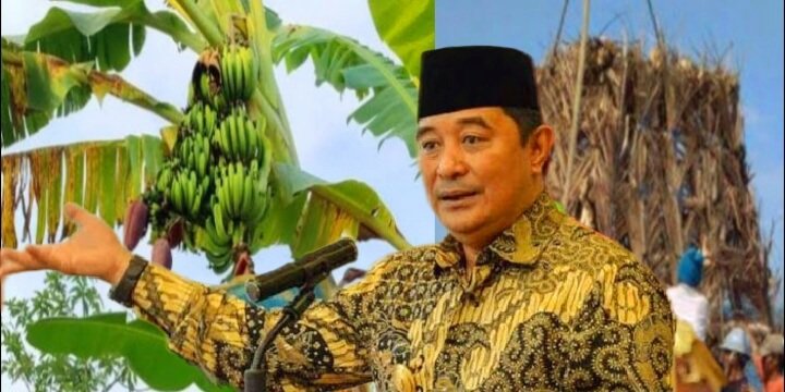 Pj Gubernur Sulsel Bahtiar Baharuddin (Program Ketahanan Pangan). (dok. mediapesan.com)