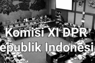 Komisi XI DPR RI.