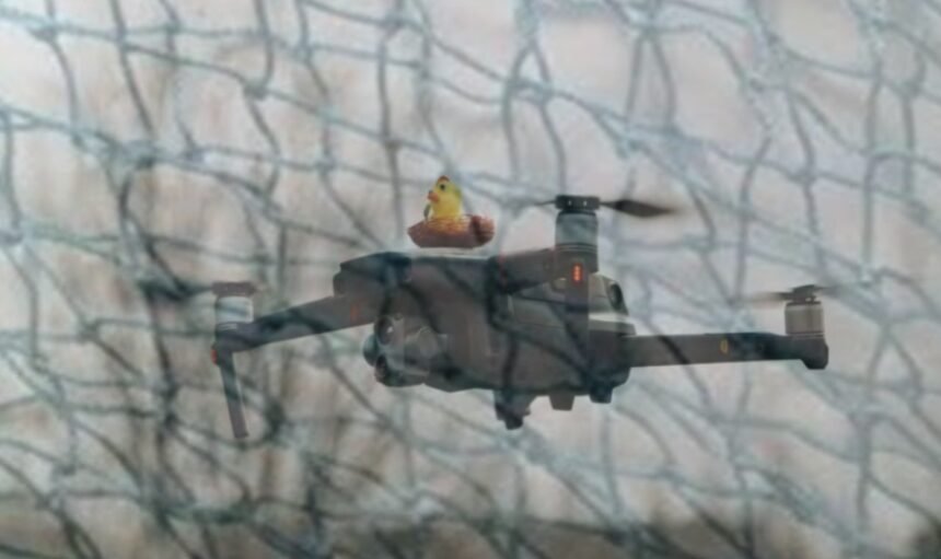 Ilustrasi jaring jebakan drone. (Ist.)
