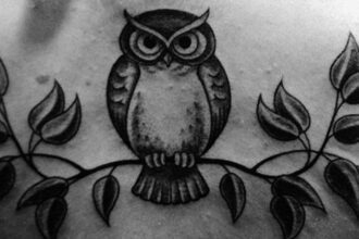Ilustrasi burung hantu (owl). (Ist.)