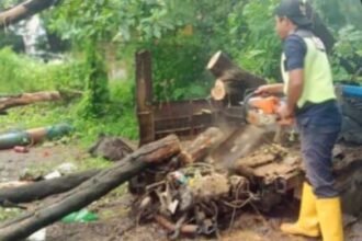 Curah hujan yang cukup tinggi disertai angin kencang membuat pohon tumbang di wilayah kecamatan panakkukang. (Dok. Kecamatan Panakkukang)