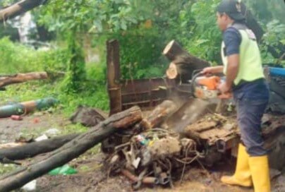 Curah hujan yang cukup tinggi disertai angin kencang membuat pohon tumbang di wilayah kecamatan panakkukang. (Dok. Kecamatan Panakkukang)