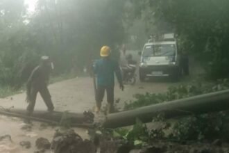 Babinsa Koramil 14 Klego Kodim 0724 Boyolali, Serma Nur Khamim, dan tim PLN tampil sigap dalam menanggapi bencana akibat rubuhnya tiang listrik.