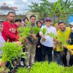Dalam panen perdana ini, masyarakat dapat menikmati hasil tanaman kangkung di Kelurahan Paropo Kecamatan Panakkukang Kota Makassar.