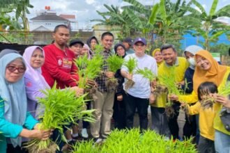Dalam panen perdana ini, masyarakat dapat menikmati hasil tanaman kangkung di Kelurahan Paropo Kecamatan Panakkukang Kota Makassar.