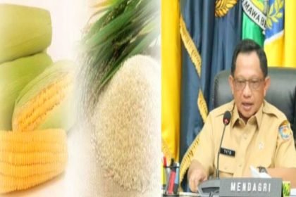 Kolase: Menteri Dalam Negeri, Tito Karnavian, Beras dan Jagung dalam pengaturan untuk melindungi petani dan menjaga stabilitas harga pangan, April 2024. (Ist.)