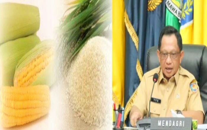 Kolase: Menteri Dalam Negeri, Tito Karnavian, Beras dan Jagung dalam pengaturan untuk melindungi petani dan menjaga stabilitas harga pangan, April 2024. (Ist.)