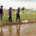 Kejadian penganiayaan yang berujung pada kematian satu orang di Lingkungan Mappala Kelurahan Pangkabinanga, Kecamatan Pallangga, Kabupaten Gowa, pada hari Selasa (16/4/2024), Pukul 08.30 WITA, situasi memenuhi TKP di sawah tersebut.