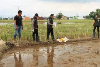 Kejadian penganiayaan yang berujung pada kematian satu orang di Lingkungan Mappala Kelurahan Pangkabinanga, Kecamatan Pallangga, Kabupaten Gowa, pada hari Selasa (16/4/2024), Pukul 08.30 WITA, situasi memenuhi TKP di sawah tersebut.