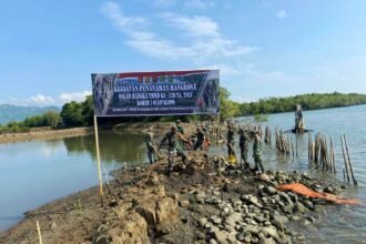 Satgas TMMD ke-120 TA 2024 Kodim 1403/Palopo tanam mangrove bersama masyarakat, (30/5/2024).