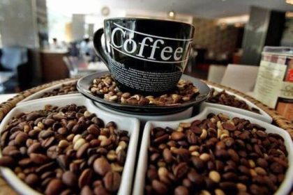 Ethiopia berhasil menjual sebanyak 174.596 ton kopi ke seluruh dunia dan memperoleh lebih dari 13 triliun, Mei 2024. (rtnews/ho/mediapesan.com)
