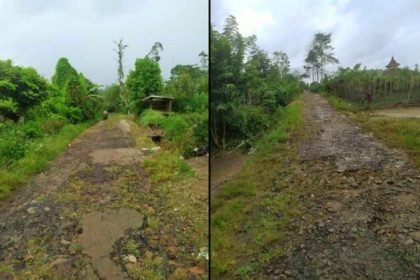 Masyarakat di Kelurahan Sekincau, Kecamatan Sekincau, Kabupaten Lampung Barat, Provinsi Lampung, mengeluhkan kondisi jalan utama yang rusak parah di wilayah mereka, (29/4/2024). (WL/HO)