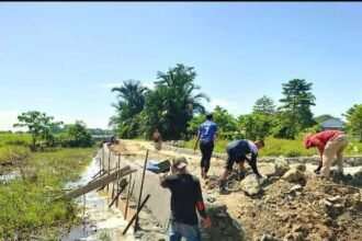 Satgas TMMD ke 120 TA. 2024 Kodim 1403/Palopo di Desa Pammesakang Kecamatan Bua Kabupaten Luwu Sulawesi Selatan tingkatkan semangat gotong royong bersama masyarakat dihari ke 25.