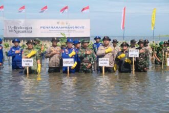 Kolaborasi Hijau di Takalar, (4/6/2024).
