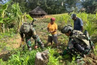 Galakkan Ketahanan Pangan, Satgas 323 Buaya Putih Bagikan Bibit Sayur.