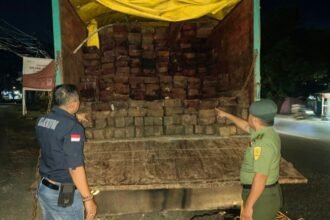 Tim Operasi Balai Gakkum KLHK Wilayah Sulawesi berhasil menggagalkan peredaran kayu ilegal di Kabupaten Bantaeng, Sulawesi Selatan, (23/6/2024).