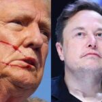 Donald Trump dalam insiden tempo lalu (kiri) dan CEO Tesla dan SpaceX, Elon Musk (kanan), Selasa (16/7/2024). (rtnews/ho)