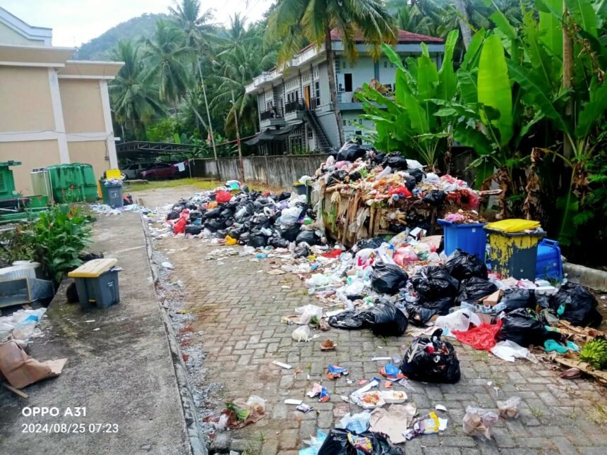 Bau sampah menyengat ganggu kesehatan pasien dan petugas di RSUD Massenrempulu, (25/8/2024).