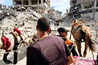 Perang berkepanjangan, warga Gaza Utara gunakan gerobak hewan sebagai transportasi sehari-hari, (25/8/2024). (qudsnews/ho/mediapesan)
