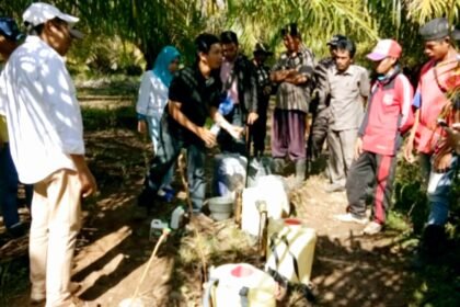 Dr. Lukman Gunarto menyaksikan aplikasi teknologi AGPI di Plasma Sawit Bengkulu. (Foto/Dok Pribadi)