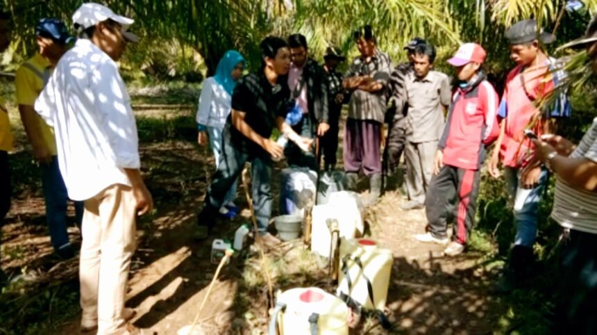 Dr. Lukman Gunarto menyaksikan aplikasi teknologi AGPI di Plasma Sawit Bengkulu. (Foto/Dok Pribadi)