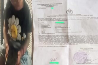 Seorang anak menjadi korban pelecehan, peristiwa ini telah terjadi pada tanggal 29 Agustus 2024 di Gowa. 