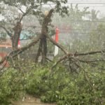 Bhabinkamtibmas Desa Pakatto bersihkan pohon tumbang di Jalan Poros Malino, Selasa (15/10/2024).