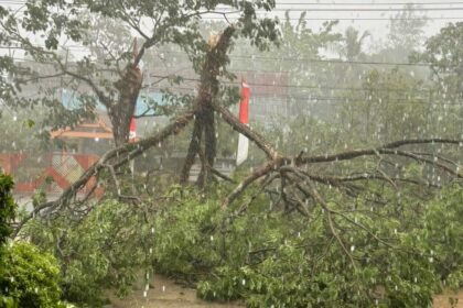 Bhabinkamtibmas Desa Pakatto bersihkan pohon tumbang di Jalan Poros Malino, Selasa (15/10/2024).