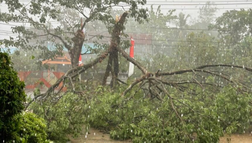 Bhabinkamtibmas Desa Pakatto bersihkan pohon tumbang di Jalan Poros Malino, Selasa (15/10/2024).