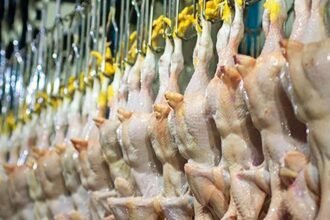 Kenaikan harga ayam dipicu permintaan tinggi, pemerintah Iran siapkan solusi, (9/10/2024). (tasnim/ho)