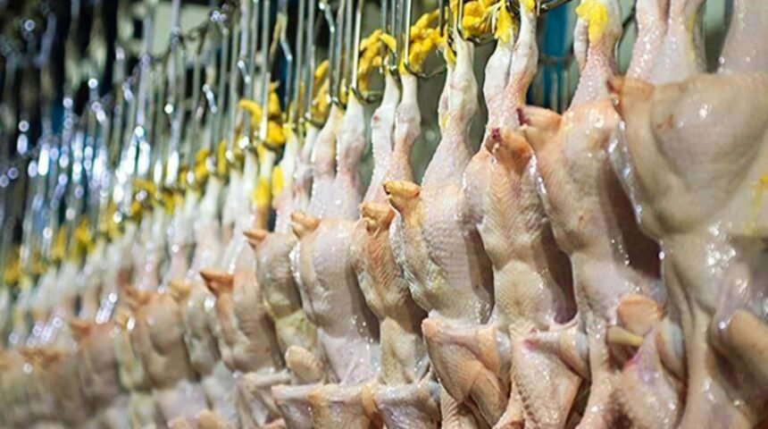 Kenaikan harga ayam dipicu permintaan tinggi, pemerintah Iran siapkan solusi, (9/10/2024). (tasnim/ho)