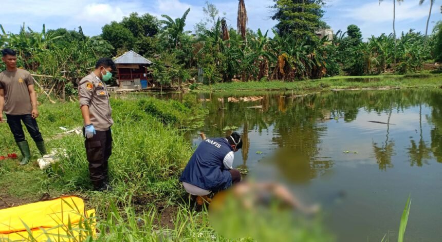 Mayat tanpa identitas ditemukan mengapung di empang, polisi lakukan penyelidikan, (11/11/2024).
