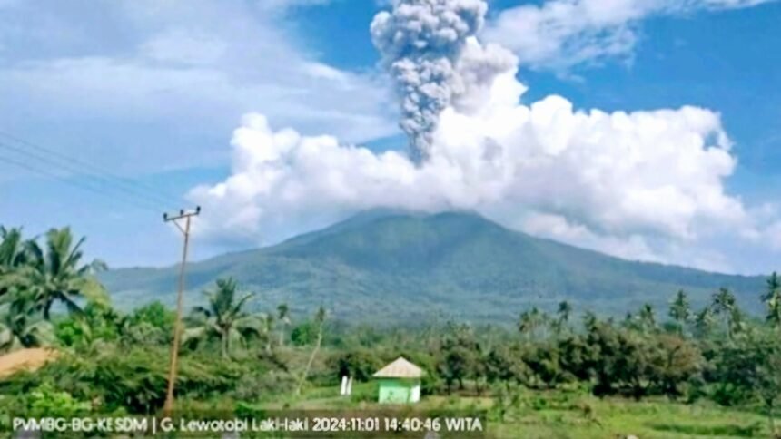 Gunung Lewotobi Laki-Laki di Flores Timur. (PVMBG/HO)