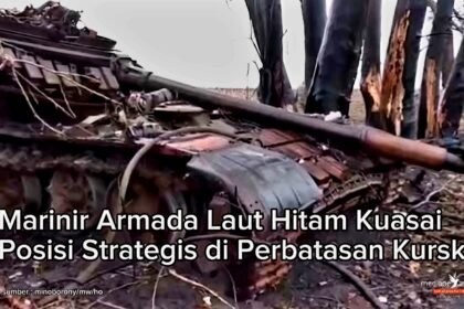 Kawasan Hutan Olgovskaya di perbatasan Kursk, November 2024. (mw/ho/mp)