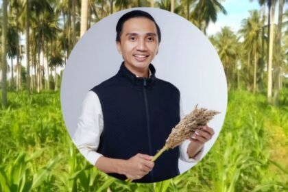 Berlatar budidaya jagung di lahan perkebunan kelapa, kolase: Ridwan Nontji.