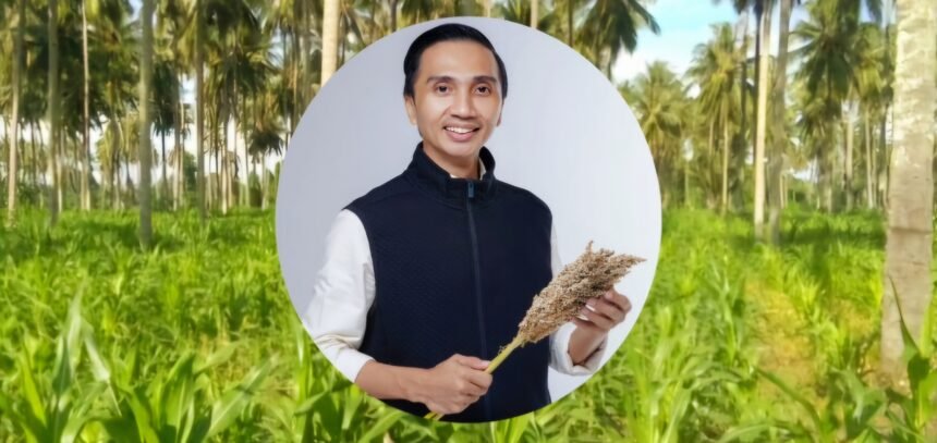 Berlatar budidaya jagung di lahan perkebunan kelapa, kolase: Ridwan Nontji.