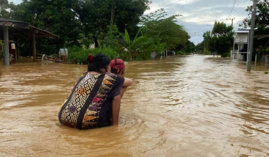 Banjir merendam tujuh desa di dua kecamatan, Tempurejo dan Wuluhan, Kabupaten Jember, (23/12/2024). Dok: BPBD Jember.