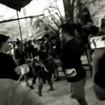 Maraknya judi sabung ayam di Wajo