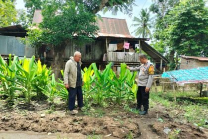 Bhabinkamtibmas Desa Lantang-Takalar bersama warga, beri himbauan manfaatkan pekarangan untuk ketahanan pangan, (15/1/2025).