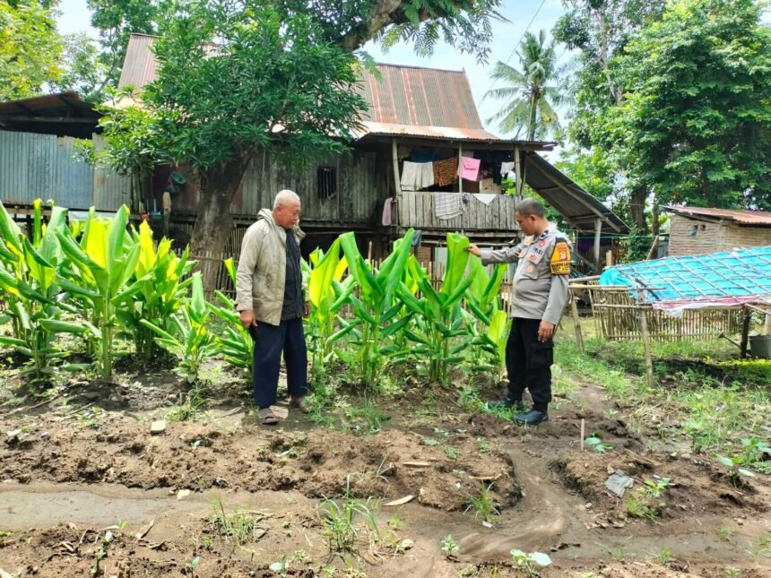 Bhabinkamtibmas Desa Lantang-Takalar bersama warga, beri himbauan manfaatkan pekarangan untuk ketahanan pangan, (15/1/2025).