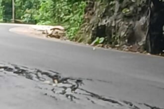 Jalan layang poros Maros-Bone rusak, (25/1/2025).