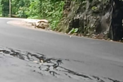 Jalan layang poros Maros-Bone rusak, (25/1/2025).