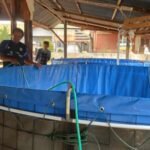 Polres Kota Palopo Bangun Sentra Pengolahan Perikanan dan Pertanian untuk Dukung Ketahanan Pangan dan UMKM